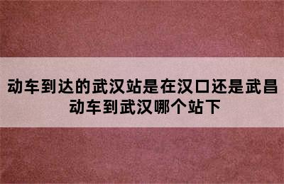 动车到达的武汉站是在汉口还是武昌 动车到武汉哪个站下